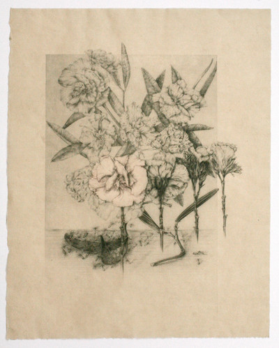 Marta Chirino | Nerium Oleander