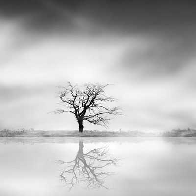 Andy Sotiriou | Snowscape 01