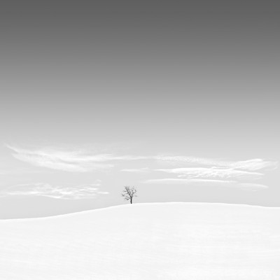 Andy Sotiriou | Snowscape 09