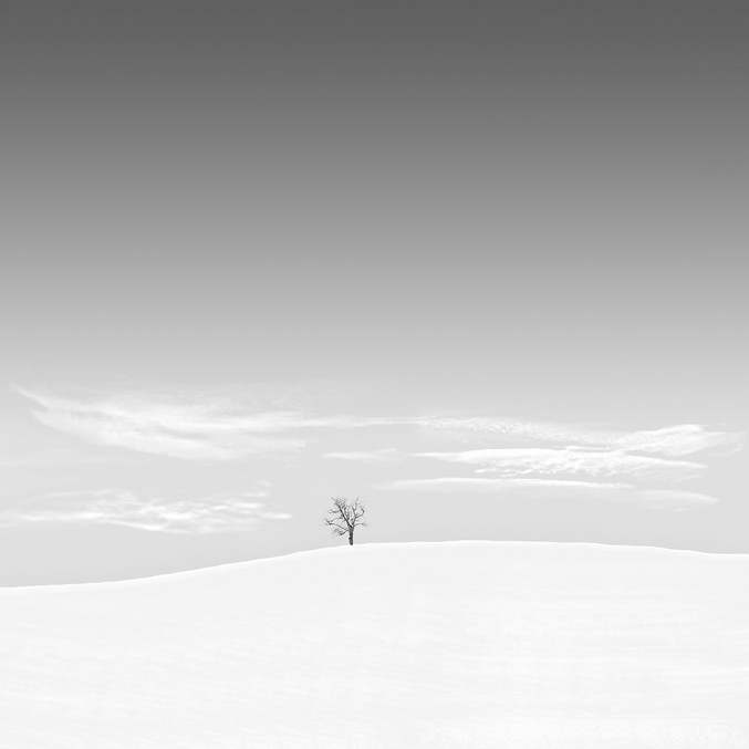 Andy Sotiriou | Snowscape 09