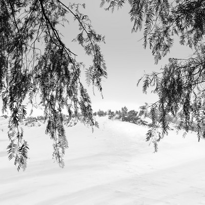 Andy Sotiriou | Snowscape 16