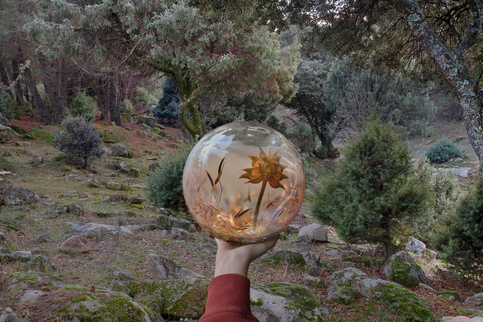 Leticia Felgueroso | Mano con esfera