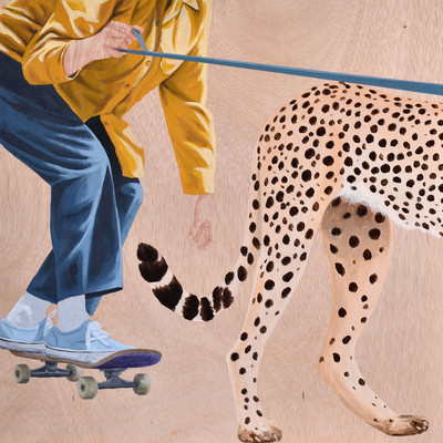 Marc Ballvé | Cheetah