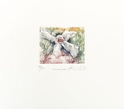 Kabir | Silvestres