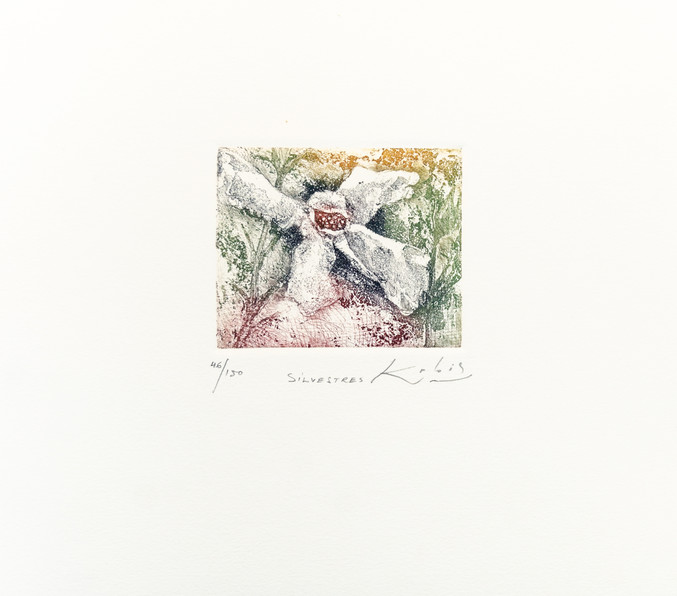 Kabir | Silvestres