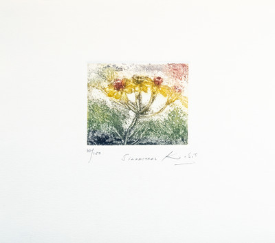 Kabir | Silvestres