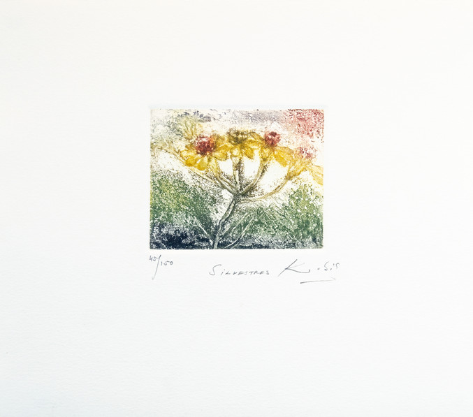 Kabir | Silvestres
