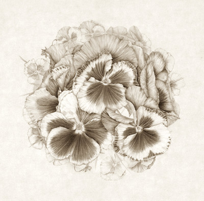 Marta Chirino | Ramillete de pensamientos