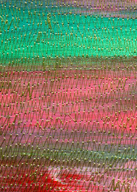 Carmen Baena | Viento de Primavera III