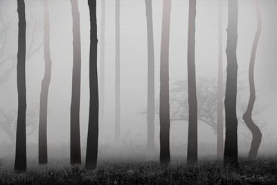 Andy Sotiriou | Mist series #02