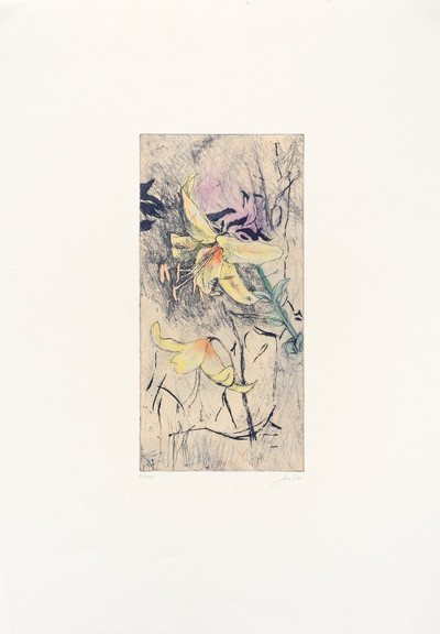 Mela Ferrer | Flores