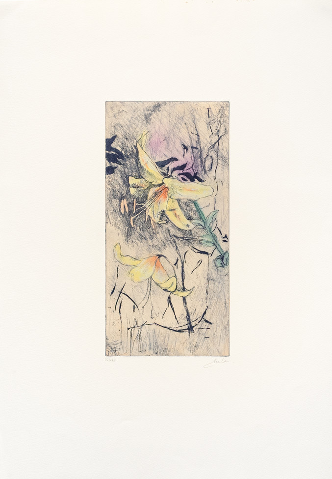 Mela Ferrer | Flores