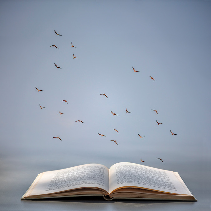 Leticia Felgueroso | Lectura