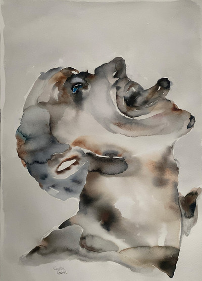 Costa Gorel | Lengua I