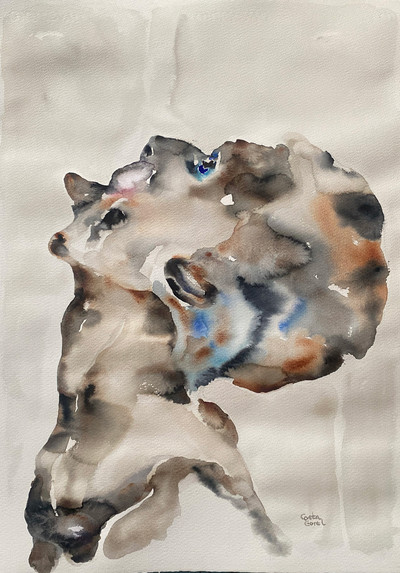 Costa Gorel | Lengua II