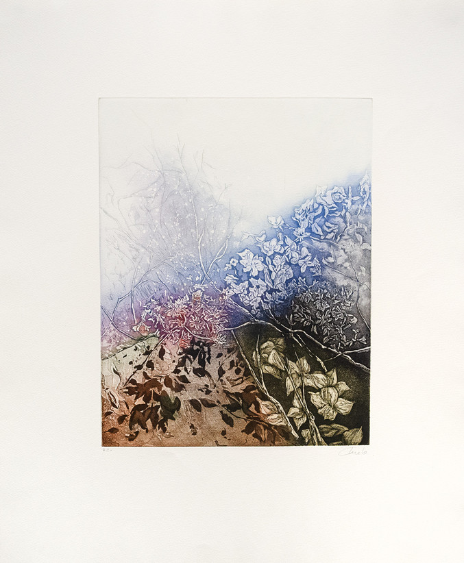 Mela Ferrer | Bosque