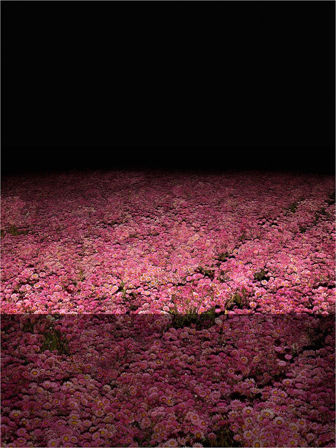 Xurxo Gómez-Chao | Campo de Cor I (The new colour field) Xurxo Gómez-Chao | Campo de Cor I (The new colour field)