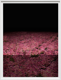 Xurxo Gómez-Chao | Campo de Cor I (The new colour field)