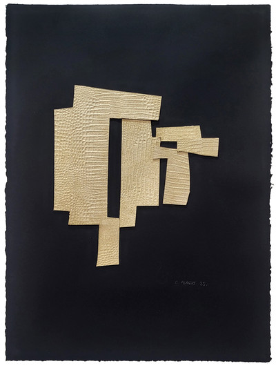 Carlos Albert | Perspectiva urbana